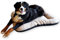 4L Textil KLEO Hundebett Grosse Hunde waschbar Hundekissen Grosse Hunde Hundematte Hundematratze Hundekissen XXL (XL-130x110 cm, Beige(Mit Reißverschluss))