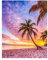 DCIDBEI Diamant Painting Strand und Meer Pink 40x50cm Diamond Painting Bild Palmen Diamond Painting Strand Wasser Meer Sand Sonnenuntergang Diamond Painting Erwachsene Landschaft Pink