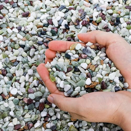 ZENFUN Galets décoratifs naturels en jade de 2,7 kg, 6-9 mm, galets mélangés polis, pierres décoratives d'extérieur pour plantes grasses, pierres d'aquarium, bonsaï de cactus, remplissage de vase,