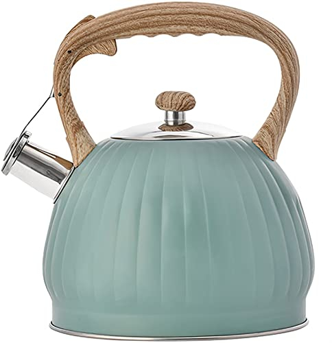 GaRcan Tetera Tetera de Acero Inoxidable Tetera con Forma de Calabaza Mango ergonómico Tetera con silbido de 3 litros Aislamiento térmico y teteras antiescaldaduras Cafetera (c