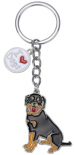 WEWAYSMILE Porte-Clés Chien, Porte-Clés En Métal Petit Chien, Porte-Clés En Métal Chiot Mignon, Pour Décoration Porte-Clés De Voiture, Cadeau Personnalisé, Long 4,09 pouces/10,4 cm