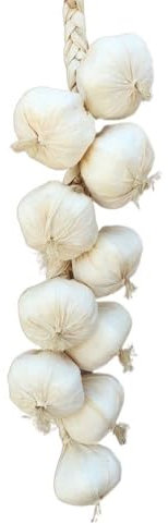 10 piezas de ajos artificiales para verduras, mini accesorios decorativos para fotografía de ajo, accesorios de fotografía de espuma