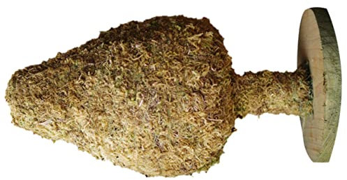 Tofficu 1 Pz. Disposizione dei Fiori Palla di Ornamenti Natalizi luci di tonalità Mini Albero di Natale Piante finte di Natale Vaso per Piante Albero di Natale Fatto in casa bambù