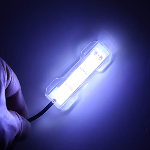 HERCHR Aquarium-LED-Licht, Aquarium-Wasserpflanzen-Licht-Desktop-Aquarium-Dekoration, USB-Lade-LED-Lampe