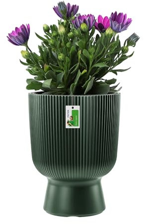 PAFEN – Pot en Polypropylène 41L sur Pied Unique – 38x50 cm – Cache-Pot en Forme de Calice pour Intérieur, Jardin ou Balcon, Vert