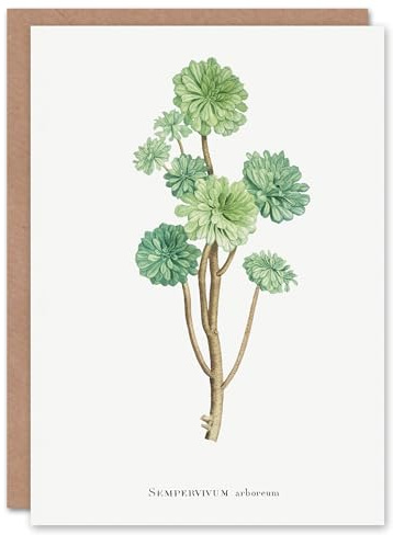 Artery8 Pierre-Joseph Redouté Art Card Tree Houseleek Succulent