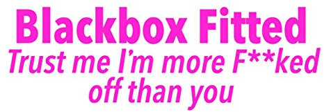 Blackbox Fitted Sticker Funny Car Young driver (300mm, pink)