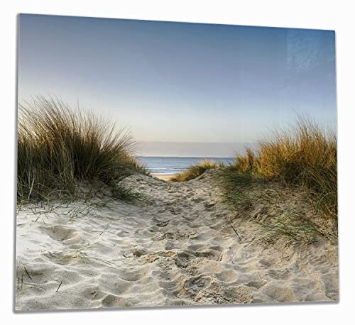 Wallario Herdabdeckplatte/Spritzschutz aus Glas, 1-teilig, 60x52cm, für Ceran- und Induktionsherde, Weg durch die Dünen zum Strand am Meer
