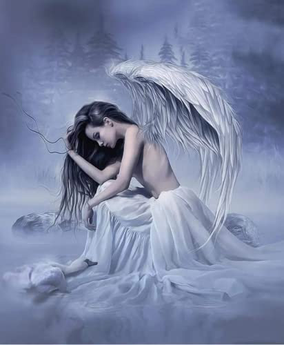 PNDGMCSY Tableau Peinture Numéro Adulte Ange Aile Femme Bricolage Numérique pour Enfants Adultes Peindre par Nombre Kits 16X20 Pouces avec Brosseset Peintures Acryliques