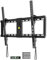 FORGING MOUNT Ultra Slim Tilt TV Wall Mount for 37-82 inch TVs, Universal TV Bracket Tilt Wall Bracket Sturdy Low Profile Mount, up to 60kg Max. VESA 600x400 mm, with Bubble Level