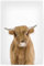 artboxONE Poster 30x20 cm Für Kinder Highland Calf hochwertiger Design Kunstdruck - Bild Cow Calf Children
