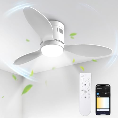 BLITZWILL Deckenventilator mit Beleuchtung, Ø106cm App Steuerung & Fernbedienung Deckenventilatoren mit Licht LED, 6 Geschwindigkeiten, 3 Farben Dimmbar, Leise DC-Motor, Sommer-Winterbetrieb, Timer