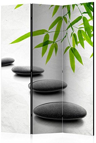RAUMTEILER/PARAVENT B&D XXL Raumteiler Spa Zen Foto Paravent 135x172 cm beidseitig auf Vlies-Leinwand Bedruckt Trennwand Spanische Wand Sichtschutz Raumtrenner Home Office schwarz grün grau
