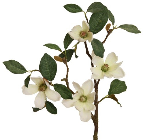 unbekannt Kunstblume Magnolienzweig Magnolienblüten weiß H 45 cm