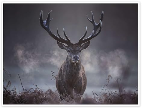 Ein majestätischer Rotwildhirsch atmet in der Winterluft aus Poster von Alex Saberi 70 x 50 cm Grau Wandbilder Wanddeko