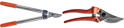 Original LÖWE 31 Profi Bypass Astschere 31.050 & 14 Gartenschere Rosenschere 14.107 mit scharfen Stahlklingen aus Carbon - leichte Bypass-Schere mit Antihaftbeschichtung
