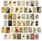 Franchity 50 StüCke Vintage Botanisches Tarot ÄSthetische Wand Collage Satz & Insekten Illustration Kunst Poster Karte Dekor
