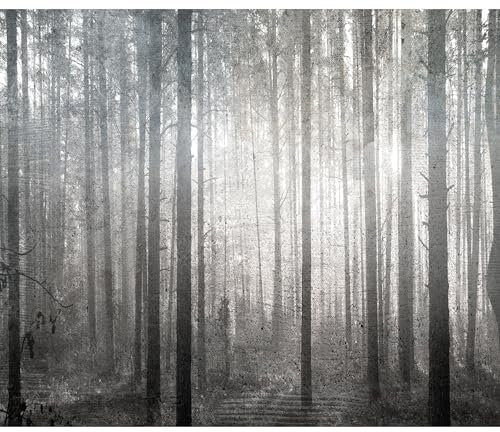 decomonkey - Papier Peint Panoramique Paysage 350x256 cm - Décoration murale moderne – Tapisserie décorative pour chambre salon - Art mural unique design tendance