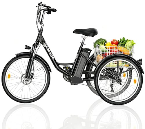 Fanesen Elektrisches Dreirad 24 Zoll E-Dreirad für Erwachsene Senioren, 250W Motor E-Bike 3 Räder mit 36V 18Ah Abnehmbarer Batterie, Elektrofahrrad 25 Km/h 7-Gang, Großer Korb & LCD-Display