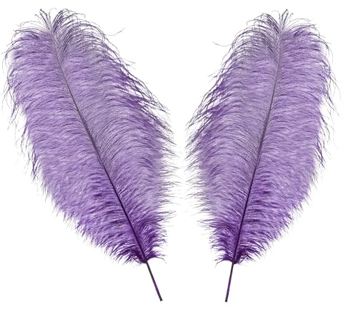 WedDecor Extra Large Purple Natural Ostrich Feathers 19-23 (50-60cm) Long for Wedding Centerpieces, Home, Decorating Costumes, Embellishment, Art & Craft, Parties (Pack of 5)