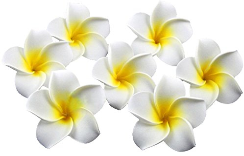 HugeStore 100er 6CM Plumeria Hawaiian Frangipani Schaumblüte für Hochzeit Party Dekoration Weiß