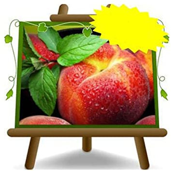 Pfirsiche mit weißem Fruchtfleisch Rote Iris - Obstpflanze alte Frucht auf Blumentopf 26 - Baum max 200 cm 4 Jahre Anbau Italien