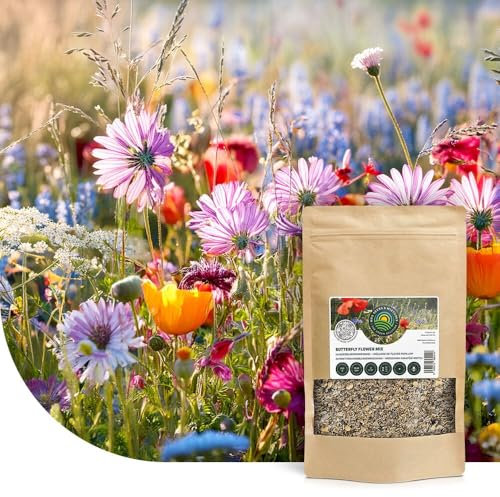 Schmetterling Blumensamen Saatgut: 25 m² - Blumenwiese Samen mehrjährig und einjährig - 23 Arten Wildblumensamen