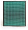 Nispira Max 2 Green True HEPA Active Carbon Filter Replacement For Airmega 250/250S Air Purifier | Compatible with Coway AP-1720-FP | 1 Pack