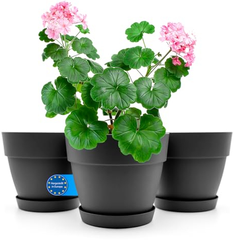 BigDean 3 Stück Blumentopf mit Untersetzer rund ø25 cm in Anthrazit – Übertopf innen + außen geeignet – aus bruchsicherem Kunststoff & Made in Europe
