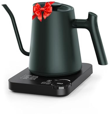 PARIS RHÔNE Gooseneck Electric Kettle, 0.9L Temperature Variable Electric Kettle for Coffee Tea Brewing, 24H Temperature Holding, 4 Temperature Presets