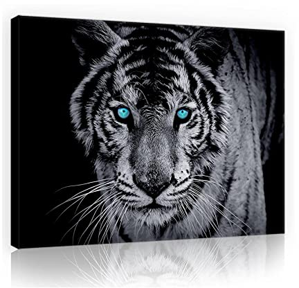Forwall Leinwandbild Wohnzimmer Tiger Tiere Schwarz Blau 100x75 cm - Modern Bilder Groß XXL Wandbild Kunstdruck Wandbilder Canvas Desing Wand Bild auf Leinwand Aufhängefertig