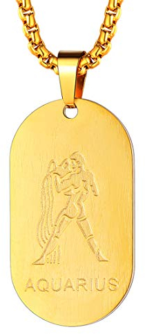 FaithHeart Dog Tag Halskette Wassermann Sternzeichen Sternbild Anhänger Damen vergoldet herren Schmuck Kette