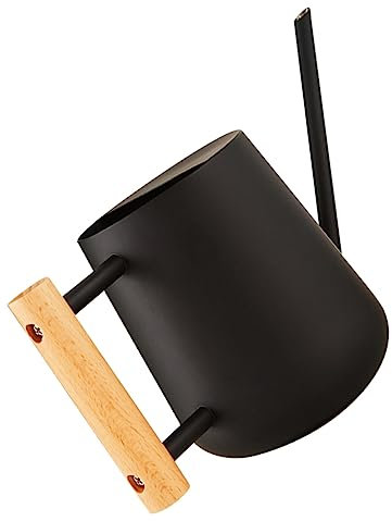 POPETPOP Arrosoir Bec pour Plantes Intérieur Arrosage Pratique Et Élégant pour Maison Et Jardin