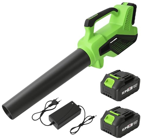 Souffleur de Feuilles sans Fil 21V avec 2 Batteries de 3,0 Ah et Chargeur, 6 Vitesse Max 257 km/h, Moteur sans Balais, Souffleur Batterie Léger pour Cour, Entrées, Pelouse, Jardin