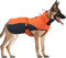 IREENUO Hundemantel Winter, Wasserdicht Warme Hundejacke Hunderegenmantel für Kleine Grosse Hunde, Wintermantel Hund mit Gurtzeug-Loch & Reflektierender Entwurf (XXL)
