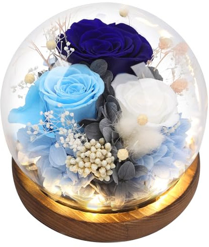 Eyesofspring Preserved Rose Flowers, Unique Floral Gifts for Women, Long-Lasting Real Flowers Bouquet to Show Love on Valentine's Day, Mother's Day,Birthday,Anniversary,Special days - Style5