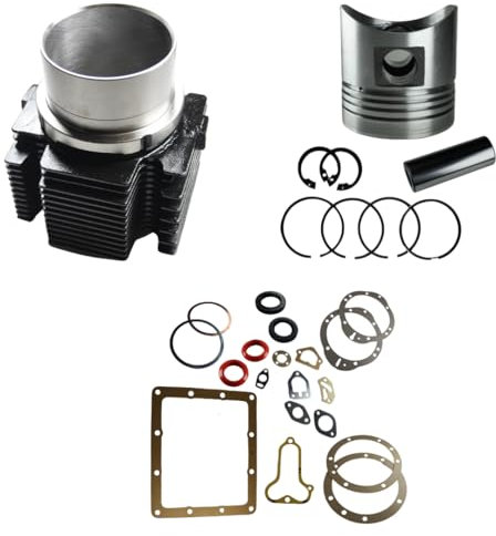 Generico Kit Cilindro e Pistone + Serie Guarnizione Completa e Paraoli Adattabile per Motore Lombardini Diesel LDA 510 per Motozappa e Motocoltivatore