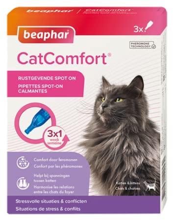 Beaphar CatComfort Beruhigendes Spot-On – reduziert Angst und Stress – schnell wirkend – beginnt in 15 Minuten zu wirken – ideal für kurzfristige Veranstaltungen wie Feuerwerk – fördert die Bindung