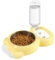 Dog Bowls, Cat Food and Water Bowl Set with Water Dispenser and Stainless Steel Bowl for Cats and Small Dogs