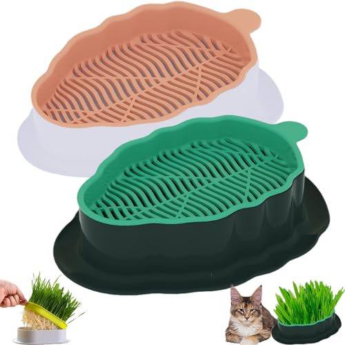YUMINGUHC Fioriera idroponica per erba gatta erba gatta con vassoio per germogli di erba gatta kit per la coltivazione di erba gatta (semi non inclusi) per interni, senza suolo (stile foglia M)