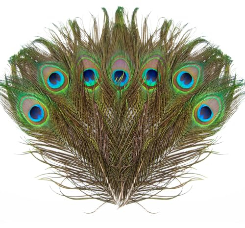 35 Stück Pfauenfedern 10~12inch(25~30CM), Natürliche Pfau Federn für Pfau Kostüm, Hüte, DIY Craft Handwerk, Kopf Dekorationen, Basteln