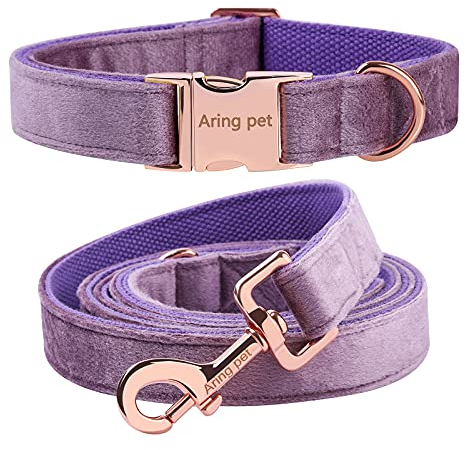 ARING PET Hundehalsband und Leine Set, Samt Hundehalsband und Leine, Bequemes Verstellbares Halsband&Leine Set für Jungen und Mädchen Hunde