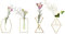 LoveCat 4 Stück Hydrokultur-Pflanzgefäße, hängende Blumenvasen, Heimdekor, geometrische Terrarien, Hydrokultur-Glasbehälter mit goldfarbenem Metallrahmen