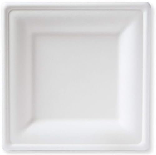 Piatti di Carta Monouso di Canna da Zucchero Privi di Plastica, Piatti Compostabili e Biodegradabili, Alternativa Ecologica ai Piatti Plastica Usa e Getta, per Microonde (200 pezzi 20x20 cm)
