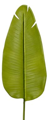 Decoris Künstliches Deko Blatt Bananenpflanze 20x100cm aus Kunststoff - Kunstpflanze Kunstblatt - Bananenblatt als Frühlingsdeko Osterdeko Sommerdeko Balkondeko Zimmerdeko - Grün