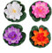 FSSTUD 4 STK Wasserlilie Schwimmend Lotusblüte Seerose Seerosen Pflanzen Künstliche Blumen Deko Teich 17cm