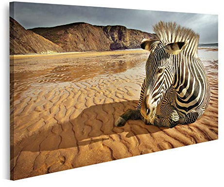 islandburner Bild auf Leinwand Strand Zebra Wandbild Leinwandbild Bilder für Wohnzimmer GCJE-1K