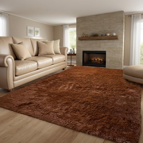 QUINZI Teppich Wohnzimmer Schlafzimmer weicher zotteliger Teppich moderner Flauschiger Teppiche Rutschfester waschbarer (Kaffee, 80x160cm)
