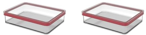 Rotho Loft rechteckige Vorratsdose mit Deckel und Dichtung, Kunststoff (SAN) BPA-frei, transparent/rot, 1l (20,0 x 15,0 x 4,8 cm) (Packung mit 2)
