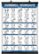 Übungsposter für Hanteltraining - inklusive Anleitung für Bodybuilding - Home Gym Chart - laminiert mit Kunststoffrahmen - 45,7 x 61 cm
